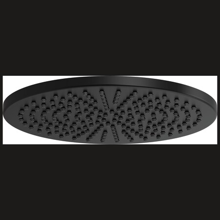Brizo Round Raincan Showerhead 81392-BL-2.5